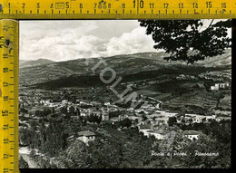 Arezzo Ponte A Poppi Panorama (foto) - Arezzo