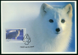 Mk Norway Maximum Card 2006 MiNr 1576 | Wildlife. Artic Fox - Maximumkaarten