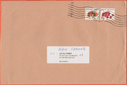 BELGIO - BELGIE - BELGIQUE - 2008 - 1 Inland Fruit, Peach + Raspberry - Medium Envelope - Viaggiata Da Charleroi Per Bru - Storia Postale