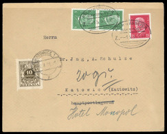 1924, Polen, P 69 II U.a., Brief - Zonder Classificatie