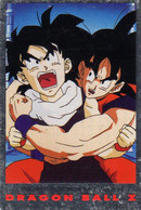 Carte Trading Cards Dragon Ball Z Dragonball 1989 Serie 2 Sangoku Et Sangohan 94 - Dragonball Z