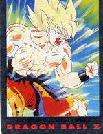 Carte Trading Cards Dragon Ball Z Dragonball 1989 Serie 2 Sangoku 98 - Dragonball Z