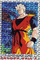 Carte Trading Cards Dragonball Dragon Ball Z 1989 Serie 2 Sangohan 103 Hologramme - Dragonball Z