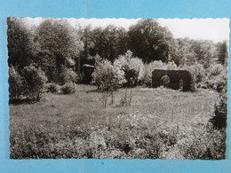 Yves - Gomezée Les Ruines - Walcourt