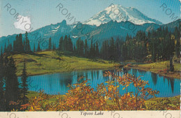 CARTOLINA  TIPSOO LAKE,WASHINGTON,STATI UNITI,MT.RAINIER NATIONAL PARK,VIAGGIATA 1979 - Tacoma