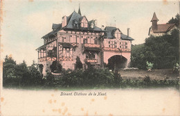 CPA Dinant - Chateau De La Hauf - Carte Precurseur - - Dinant