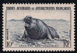 T.A.A.F. N°6 - Neuf ** Sans Charnière - TB - Unused Stamps