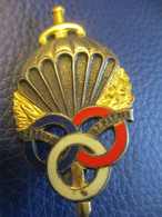 Insigne Bronze/Brevet De Parachutisme Pré-militaire /Drago Marne La Vallée/Vers 1990     INS43 - Airforce
