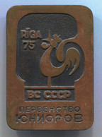 Boxing Box Boxe Pugilato - Junior Championship Riga 1985 Latvia, Russia, Vintage Big Pin, Badge, Abzeichen, 45x30mm - Boxe