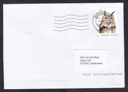 Netherlands: Cover, 2022, 1 Stamp, Owl, Bird, Animal (traces Of Use) - Storia Postale