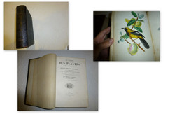 Livre D'art RARE: Le Jardin Des Plantes, Edit Curmer 1842, Superbes Illustrations  ; L09 - Lots De Plusieurs Livres