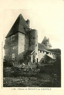 Messey Sur Grosne * Le Château Du Village - Sonstige & Ohne Zuordnung