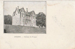 ANGERS. -  Château De Forges - Angers