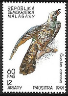 Malagasy (Madagascar) : MNH ** 1991 :    Common Cuckoo  -  Cuculus Canorus - Koekoeken En Toerako's