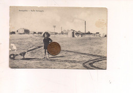 P2587 Marche SENIGALLIA Ancona 1911 Viaggiata Sulla Spiaggia - Senigallia