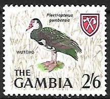 Gambia - MNH **  1966 :   Spur-winged Goose  -  Plectropterus Gambensis - Gansos