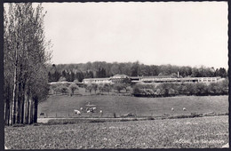 +++ CPA - JAUCHE - Sanatorium  // - Orp-Jauche