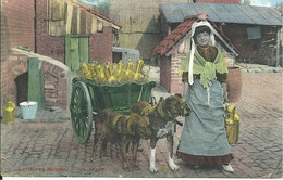 DOG CART - LATITUDES BELGIES - MILK -   POSTALLY USED 1911 - Old Professions