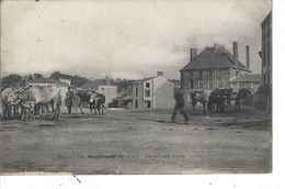 49 - MONTREVAULT - Belle Vue Animée Du Marché Aux Boeufs - Montrevault