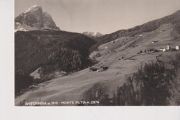 ANTERMOIA  BOLZANO MONTE PUTIA  VG  1953 - Bolzano (Bozen)
