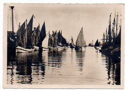 à Identifier Et Localiser --- Port De Pêche Et Bateaux à Voile ,phare ........à Saisir - To Identify