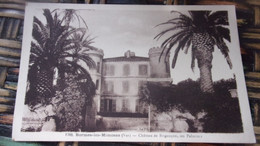 83 BORMES LES MIMOSAS  CHATEAU BREGANCON SES PALMIERS VOYAGEE - Bormes-les-Mimosas