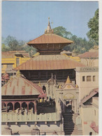 Lord Pasupatinath Temple, Nepal - Népal