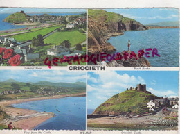 ROYAUME UNI - PAYS DE GALLES - CRICCIETH- BLACK ROCKS- VIEW FROM THE CASTLE- - Caernarvonshire