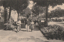 ANGERS. -  Le Marché Aux Fleurs, Boulevard De La Mairie - Angers