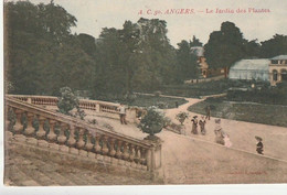 ANGERS. - Le Jardin Des Plantes - Angers