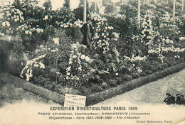 Barbezieux * Frédéric PINON Horticulteur , Expostion D'Horticulture 1909 Paris - Autres & Non Classés