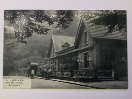 IXELLES « Nº 31 BOIS DE LA CAMBRE - LA LAITERIE «  PANORAMA,ANIMÉE. - Elsene - Ixelles