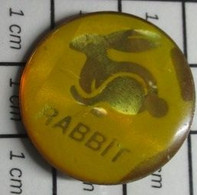 413g Pin's Pins / Beau Et Rare / THEME : ANIMAUX / LIEVRE LAPIN RABBIT GOLF VW ? - Volkswagen