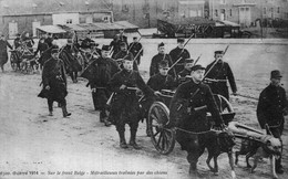 I0610 - Guerre 1914 - Sur Le Front Belge - Mitrailleuses Traînées Par Des Chiens - Matériel