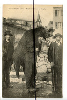 CPA . D43. SAUGUES . Retour De Chasse Sanglier . - Saugues