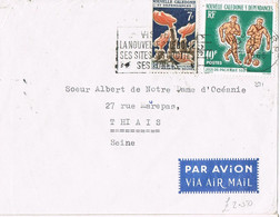 47039. Carta Aerea NOUMEA (Nouvelle Caledonie) 1965. Fechador Slogan Tourisme - Covers & Documents