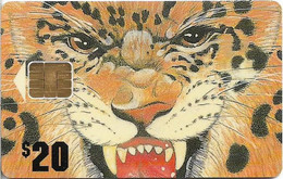 USA - Jacksonville Jaguars 1995, Micropayment Multifunctional Card, 20$, Used - Other & Unclassified
