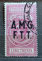 TRIESTE A - AMG FTT  - MARCA DA BOLLO  ATTI AMMINISTRATIVI - LIRE 30 - Fiscale Zegels