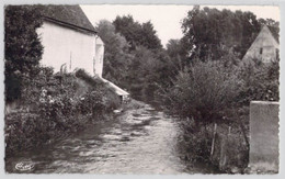 CPA France - Yonne - Malay Le Grand - La Vanne - Combier Impression Macon - Carte Photo - Cours D Eau - Otros & Sin Clasificación