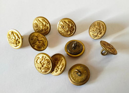 Lots De 10 Bouton USA WW1 En Laiton 15 Mm Avec Aigle Pygargue - Buttons