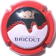 Bricout N°13, Polychrome - Other & Unclassified