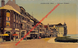 L'Avenue Demaere - Zeebrugge - Zeebrugge