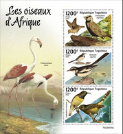 Togo 2022, Animals, Birds Of Africa, Flamingo, 3val In BF - Flamingo's