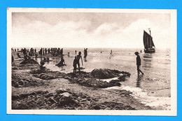 Delcampe - FORT MAHON - N° 78 - LA PLAGE A MAREE HAUTE - PROMENADE EN MER - FORMAT CPA NON VOYAGEE - Fort Mahon
