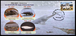 INDIA 2022 Red Crowned Turtle ,Gengetic Dolphin, Gharial Crocodile ,Chital Fish -Aquatic Animals Cover (**) Inde Indien - Covers & Documents