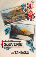 74-TANNINGES- SOUVENIR MULTIVUES - Taninges