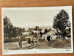 JUDAICA POSTCARD RPPC EDIT. ELIAHU BROS NO. 466 HADERA. PALÄSTINA, PALESTINE ANSICHTSKARTE CARTOLINA - Palestine