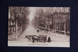 RABASTENS - La Promenade - Rabastens