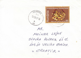 ROMANIA Cover Letter 385,box M - Storia Postale