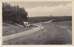 VLIELAND Het Bankje Aan De Badweg AF207 - Vlieland